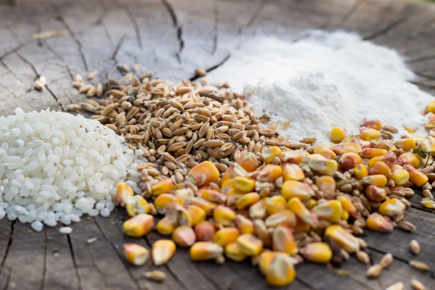 Feed & Grains